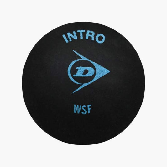 Dunlop Single Dot Blue Squash Ball